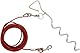 Hundeanbindekabel und Pfahl für Camping und Garten, ideal für kleine, mittlere und große Hunde (3M, Rot)