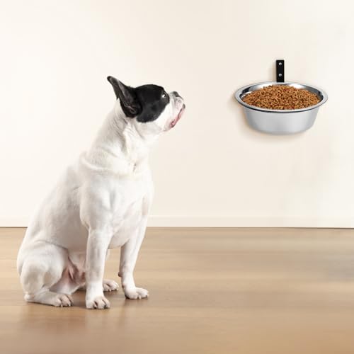 UKCOCO Erhöhter Hundenapf Aus Edelstahl Mit Wandhalterung Komfortabler Futternapf Und Wassernapf Für Mittelgroße Und Große Hunde Leicht Zu Reinigen Und Langlebig