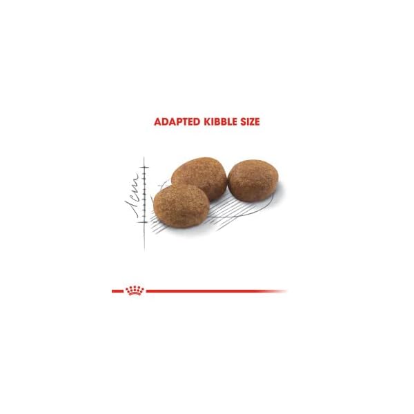 Royal Canin Royal Canin Feline Sterilised 37 4kg – Bild 8
