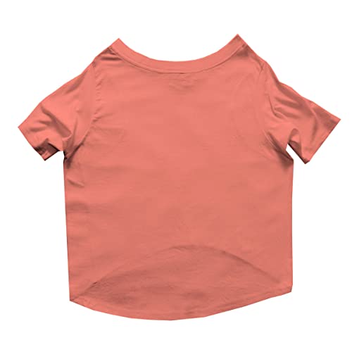 Image of Ruse Crew Neck Half Sleeves T-Shirt for Dogs IPL Replica Rajasthan Loyals Team Dog Cotton Jersey Printed Breathable Tees Apparel for Pet - Gift for Dogs (Retrievers, Labs etc) (Pink, XL)