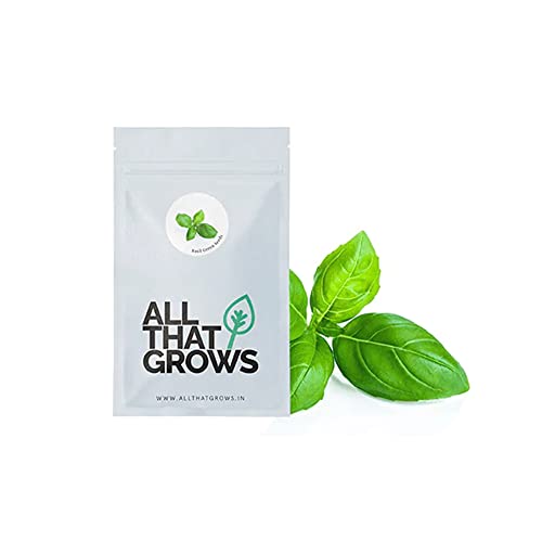 AllThatGrows Green Basil Seeds, Ocimum Basilicum Italian Basil Herb Seed Pack of 600 Seeds