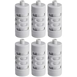 Filtro De Agua Prince Amazon Basics - Filtro de repuesto para botella de agua con filtro, 6 unidades