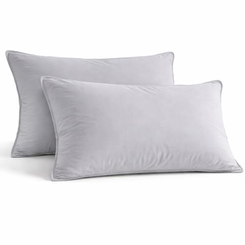 Image of Microfiber Pillow Set of 2 for Sleeping - 20x30 Inches, Light Grey