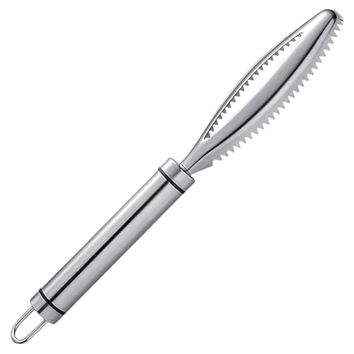 Escalero de pescado 8.5 Alimento Grado 304 Desarrollo de escala de pescado de acero inoxidable con orificio colgante y 24 uñas serradas herramientas descaler portátiles Rasador de escala fácil de esc