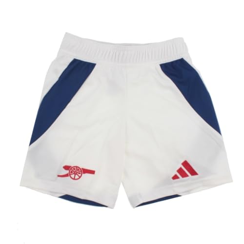 [AfB_X] TbJ[/tbgT CZXpc A[Zi 24/25 z[V[c LbY WjA(LbYEq) 150CM zCg