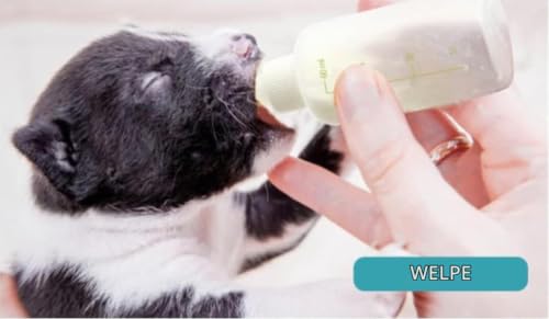 UQMIQURA Aufzuchtflasche Katze, Haustier Babyflasche Kit, Silikon Wasser Milch Flasche Silikon Babyflasche Neugeborene Pet Kleine Hunde Welpen Katze Milch Feeder mit Nippel Pinsel Set (60ml)
