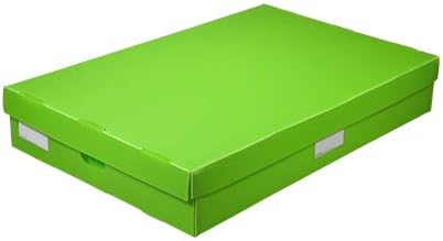 Reusable Plastic Under Bed Storage Box Collapsible Tote, Lightweight, Water-Resistant, (Pack of 2), Pink