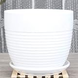 Modern Home/ Garden Simple Round Design Shape with Lines White Ceramic Flower Planter Pot Succulent