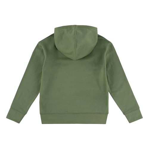 Image of Levi's Boys' Soft Knit Graphic Pullover Hoodie