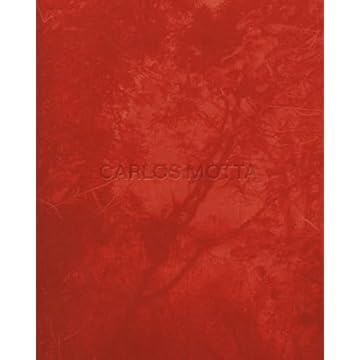 Capa do livro Carlos Motta: Marcenaria, Arquitetura e Design