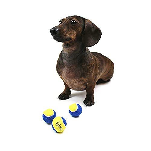 Midlee X-Small Dog Tennis Balls 1.5" Pack Of 12 (Blue/Yellow, 1.5 Inch) #TOP5