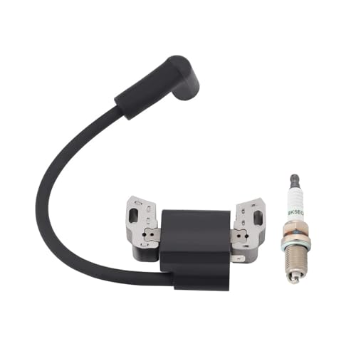 hiSpkNix 593872 Ignition Coil