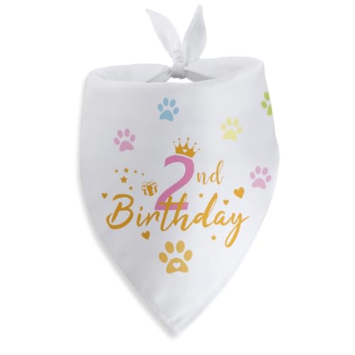  2 a o_i 2 nbs[o[Xf[ p[eB[ ʐ^  ybg XJ[t ANZT[ Dւ̃Mtg