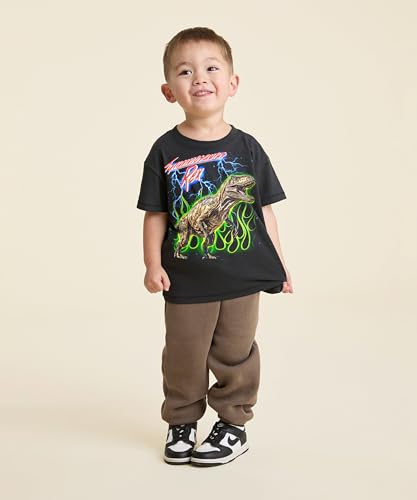 Dinosaurs Tshirt for Boys & Toddlers - Jurassic Clothes for Kids - Spinosaurus, Velociraptor, Triceratops & Trex4