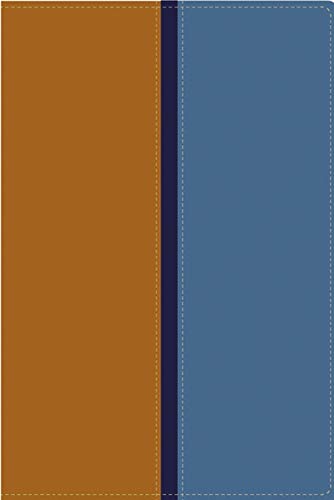 Biblia paralela RVR 1960/NVI (Spanish Edition)