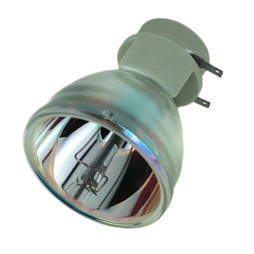 Ampoule BenQ 5J.J7L05.001 résout image sombre W1070 W1080