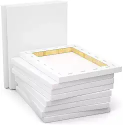 Tela de Pintura 20x30