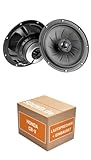 JUST SOUND best choice for caraudio