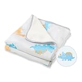 (ケラッタ) ブランケット 子供 お昼寝 保育園 フランネル×ベルベット 赤ちゃん 厚手 乾燥機OK 115×85cm (ダイナソー)