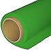 HUAMEIZOOM Seamless Photography Background Paper Roll, Green Photo Paper Backdrop for Photography, Video and Streaming (107''x36' Stinger)