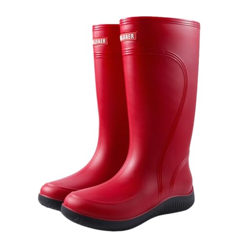 [youlee] C fB[X Cu[c h h JC O _ ₷ ₷  킢 i K[fjO d Ɨp C _ƗpC Ȃ  J  ЊQ  AEghA [sAi]