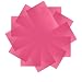 Neewer 12 Pack 8.5x11 inches/21x28 centimeters Transparent Color Correction Lighting Gel Filter Set for Photo Studio Strobe Flashlight(Pink)