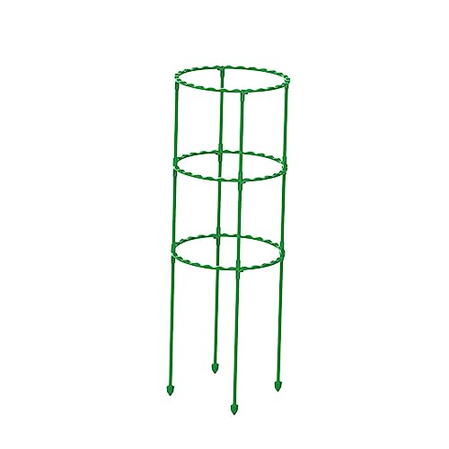 g}g͔|P[W |Ax Ap Ap 3w 55cm, , 3w55cm