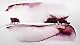 Diamine Tintenglas Master of Puppets 80ml