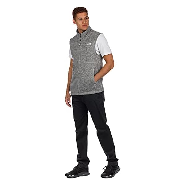 THE NORTH FACE Herren Tsillan Weste