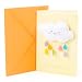 Hallmark Signature Baby Shower Greeting Card (Showered with Happy)