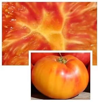tomato Tomato, Sunray , Heirloom Tomato Seeds: Totally Tomatoes