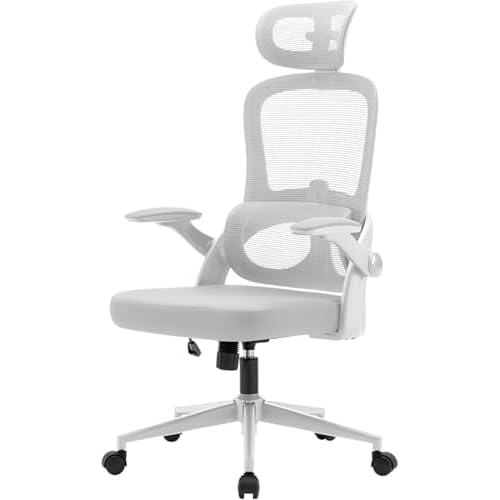 SIHOO M102C Ergonomic Office Chair, High Back Desk Chair with 3D Armrests, Up&Down Lumbar Support, Swivel Computer Task Chair with Adjustable 2D Headr