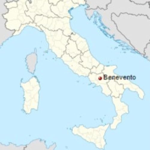 Rummo Anellini Pasta Rings from Italy 1.1 lb. (500g)(Pack of 2) Anelli - Anelletti - Pastina - Circle Noodles - Similar to Tubetti - Ditalini - Stellini - Analetti - Bronze Cut - Slow Dried