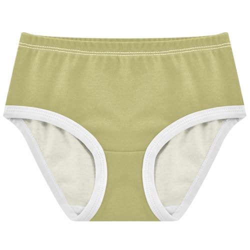 Joisal Sage Khaki Girl Panties Cute Girls Underwear Toddler Cotton Stylish Briefs Underpants 2t