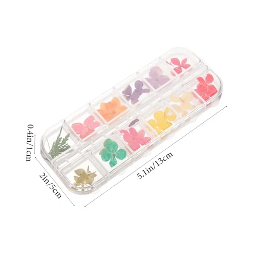3 cajas flores secas naturales para manualidades miniatura 2