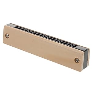 POPETPOP Lege Hout Harmonica Diatonische Harmonica Beginner Harmonica Mond Orgel Harp Voor Beginner Studenten…