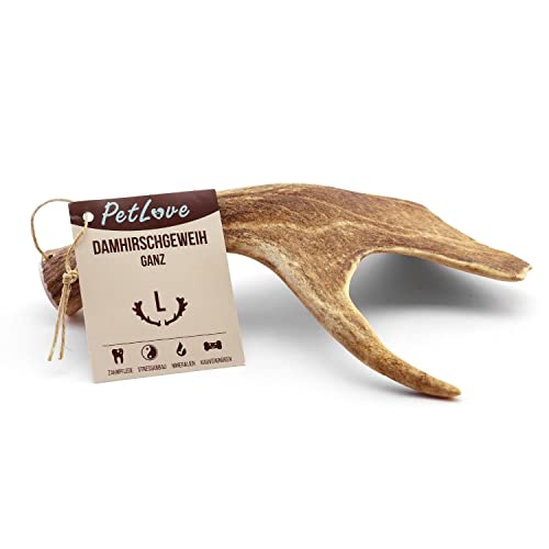 PetLove Damhirsch Geweihstange für Hunde & Welpen • Hirschgeweih Hund • Natürliches Geweih • Kauspielzeug Größe L (151-225g)