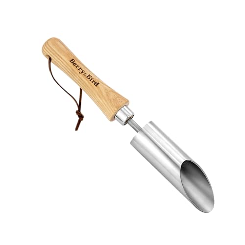 Berry&Bird Zwiebelpflanzer 31 cm Blumenzwiebel-Pflanzer aus Edelstahl mit kurzem Holzgriff Pflanzstecher für Rasen Beete und Blumentöpfe Ideal für kleine Zwiebeln und Pflanzballen