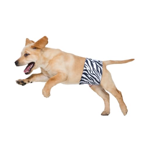 MICOOYO Waschbare Bauchbinden für Rüden | Wiederverwendbare Hundewindeln | Saugfähige Doggy Wraps mit verstellbarem Verschluss - Large (3er Pack, Wildes Afrika)