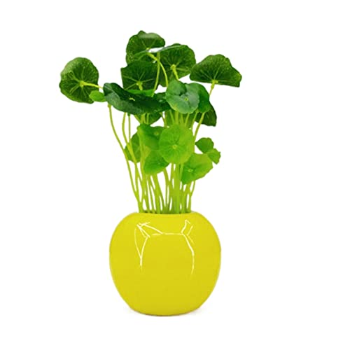 Macetas Artificiales Decoración Colgantes Marca SDVantage