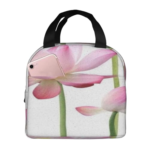 ۉ`obO e h MRh~  v d wZ AEghAɕ֗ jp (Ԙ@̔ʒu)