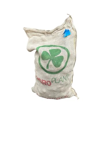 Semillas de patata certificadas 35-55 Kennebec 25kg