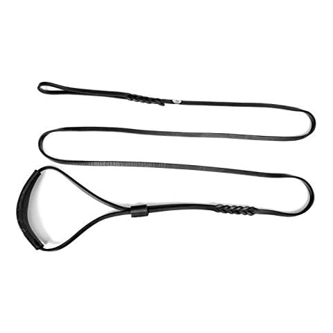 DINGO Correa de Piel Suave Trenzada para Perros Cover