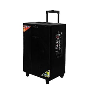 iBELL TY60B 60W Bluetooth Trolley PA System Speaker with Wireless Mic, Guitar Connectivity and FM Radio