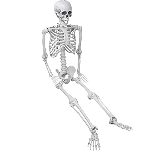 5.4ft 165cm Halloween Skeleton - Halloween Human Skeletons Full Body Bones with Movable Joints for Halloween Props Spooky Party Decoration
