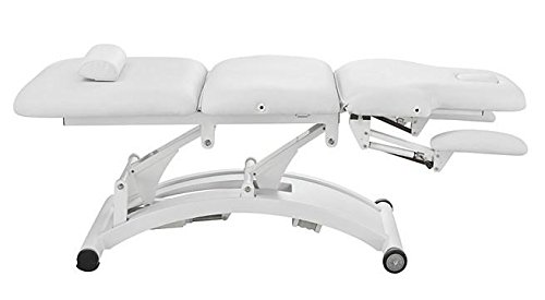 Three Motor Electric Facial Massage Treatment Chair Table Bed - USA-2241C