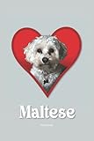 Maltese Terrier Notebook/Journal: Maltese Composition Notebook/Journal - 120 Ruled Pages (6” x 9”)