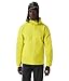 Produktbild Arc'teryx Herren Standard Atom Hoody, Euphoria