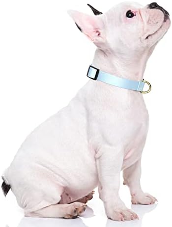 Rnivvi Dog Collar, Adjustable Blue Dog Collar for Small Dogs, Cute Puppy Collar for Boy and Girl Dogs, Classic Heavy Duty Pet Collars with Quick Release Buckle for Walking Running, S Length 3/4" Width - 1