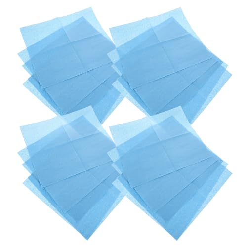 PLAFOPE Toallitas para Limpieza Automóviles 25 Unidades, Paño sin Fibras de Alta Absorción para Interior y Exterior, Tela No Tejida Resistente para Salpicadero y Cabina de Pintura